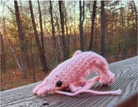 Shirley the Shrimp