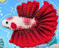 Bart the Betta Fish