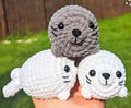 Pocket Seal