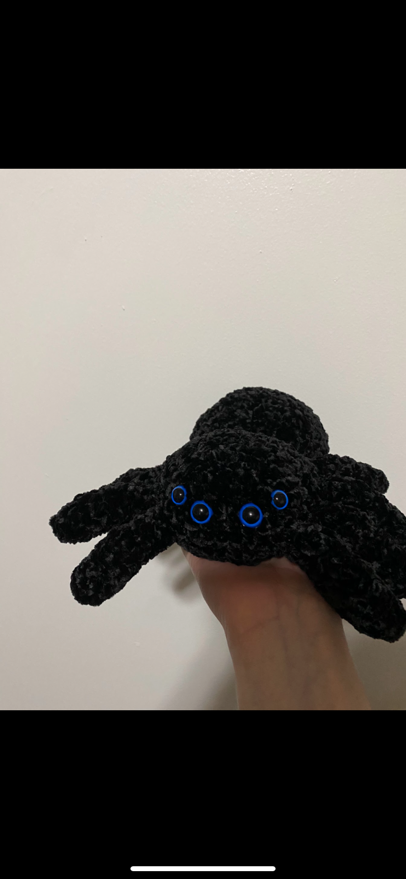 Velvet Spider