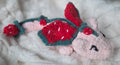 Strawberry Dragon