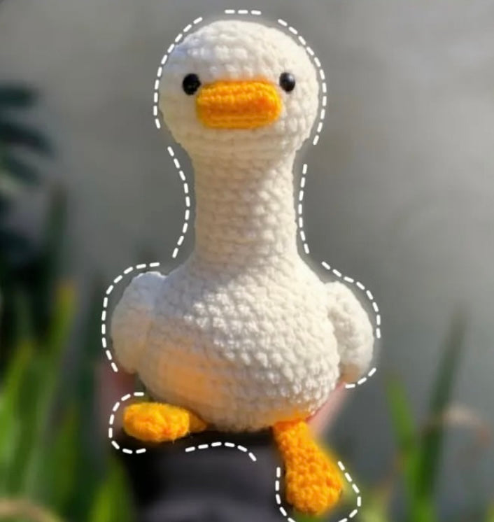 Silly Goose