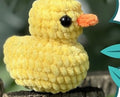 Ducky