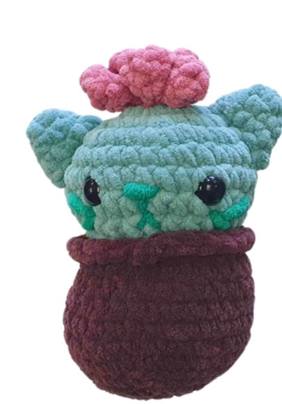 Succulent Cat & Cactus